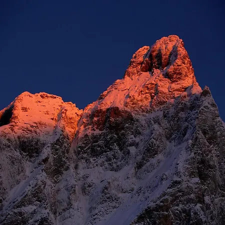 Pet-friendly Mountain Escape