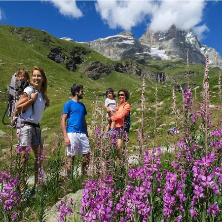 Pet-friendly Mountain Escape 公寓 Antey-Saint-André