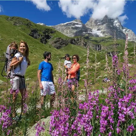 Pet-friendly Mountain Escape アパート Antey-Saint-André