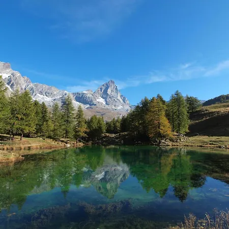 Pet-friendly Mountain Escape