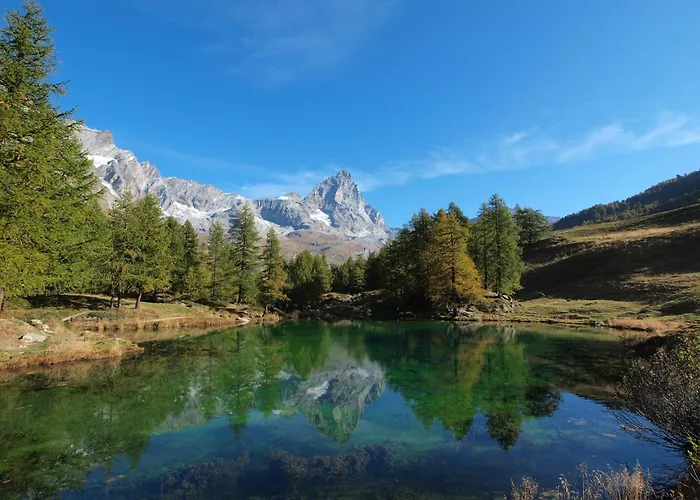 Pet-friendly Mountain Escape