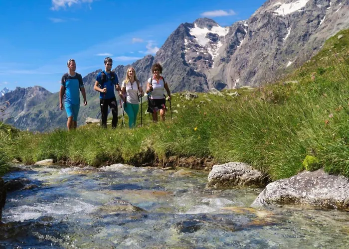 Pet-friendly Mountain Escape